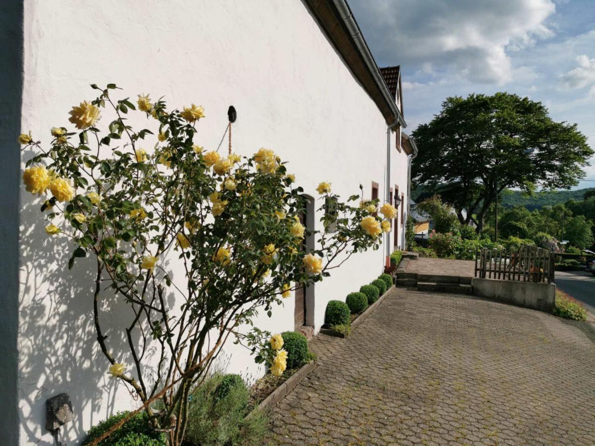 Ferienhaus Vulkaneifel Landhaus Loogh Kerpen  Экстерьер фото