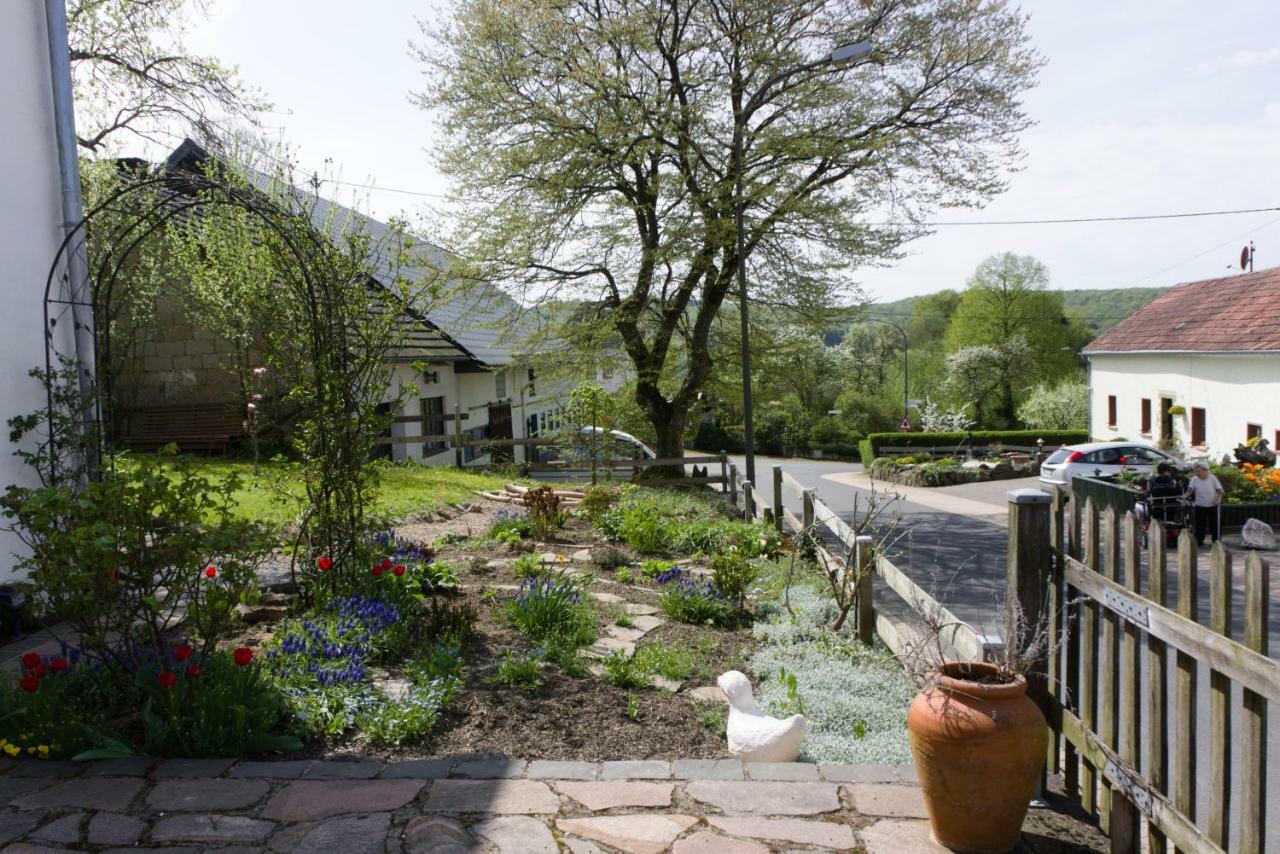 Ferienhaus Vulkaneifel Landhaus Loogh Kerpen  Экстерьер фото