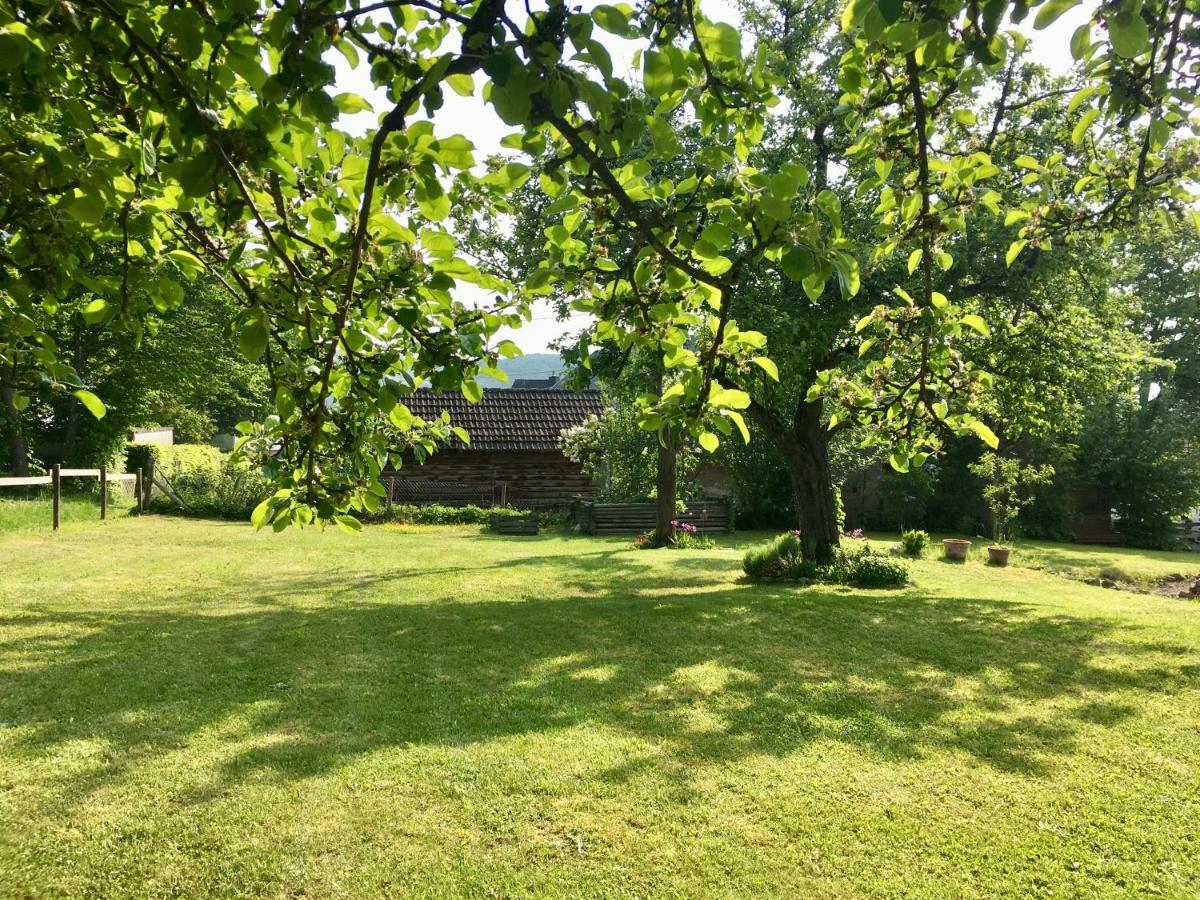 Ferienhaus Vulkaneifel Landhaus Loogh Kerpen  Экстерьер фото